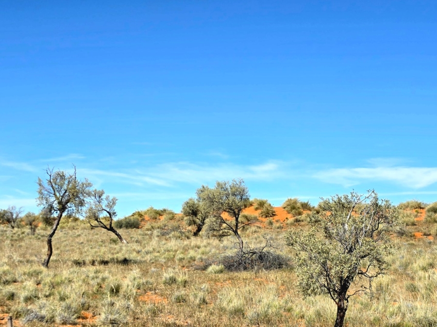 Commercial Property for Sale in Upington Rural Northern Cape